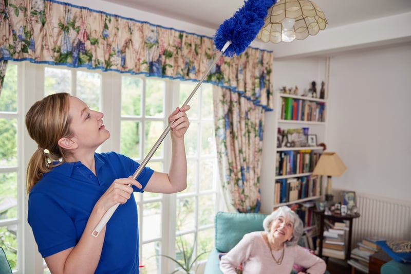 bigstock-Female-Home-Help-Cleaning-Hous-437165999